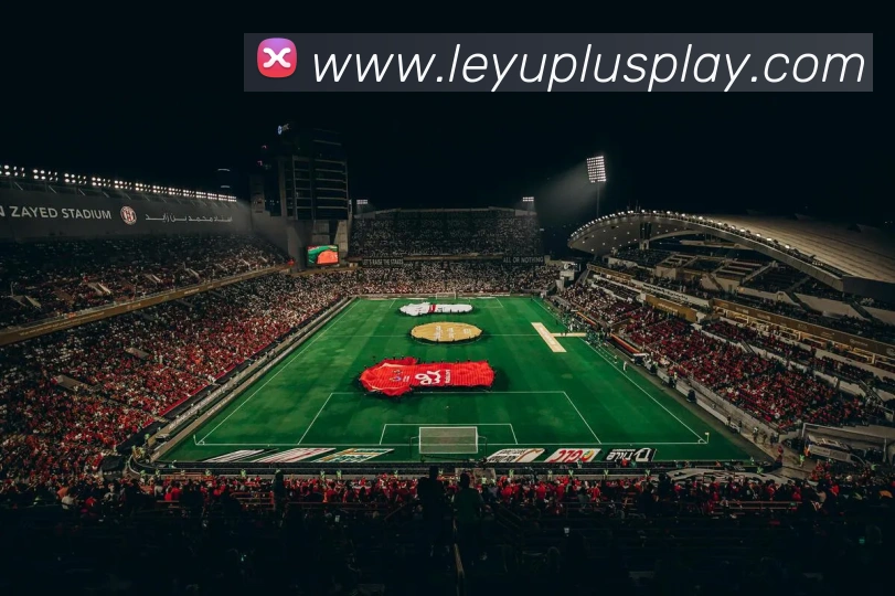 乐鱼体育APP 封面图