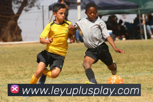 数据防护可视化